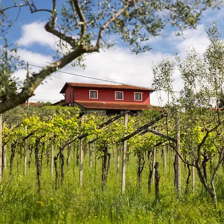 Touristfarm - 