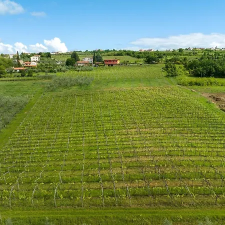 Apartamento Touristfarm - 
