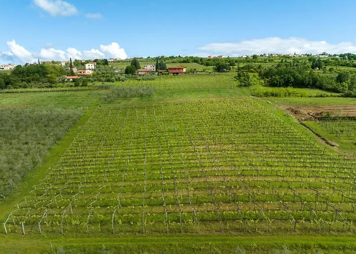 شقة Touristfarm - 