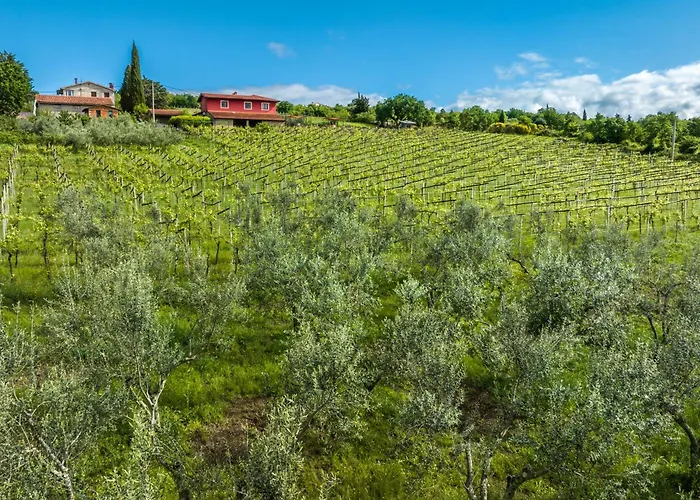 شقة Touristfarm - 